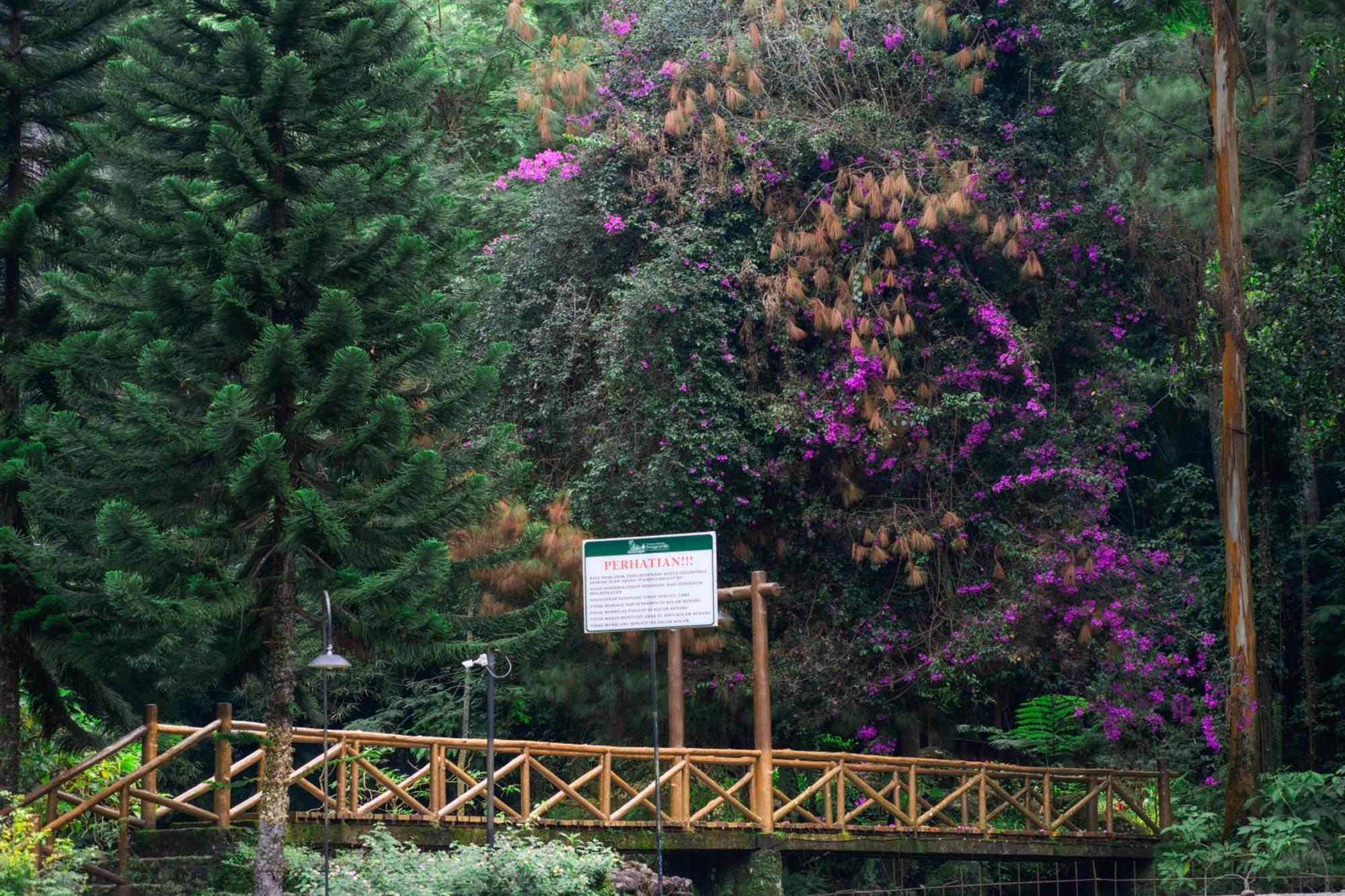 Taman Wisata Bougenville Malabar (Bandung) Exterior foto